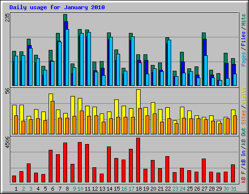 Daily usage for January 2010