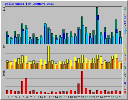 Daily usage for January 2011