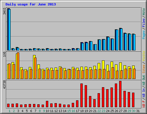 Daily usage for June 2013