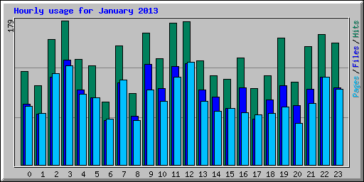 Hourly usage for January 2013