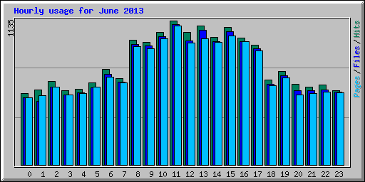 Hourly usage for June 2013