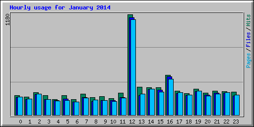 Hourly usage for January 2014