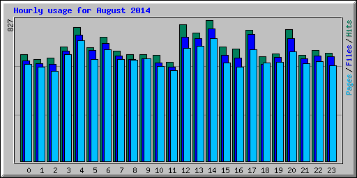 Hourly usage for August 2014