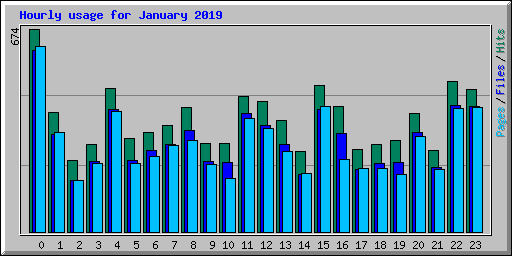 Hourly usage for January 2019